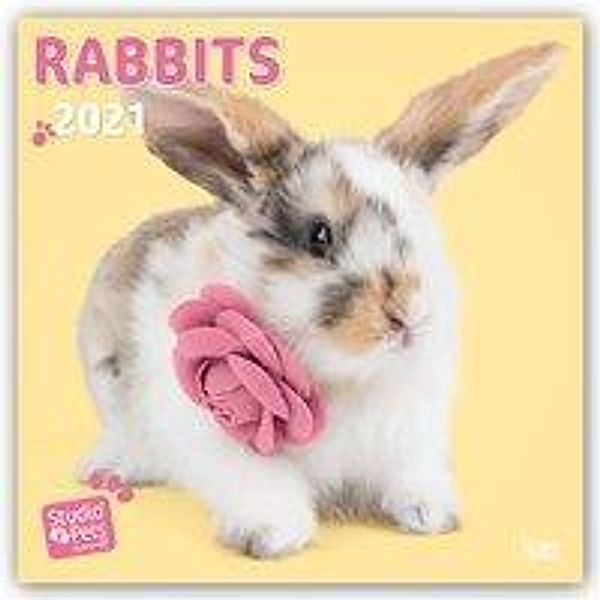 Rabbits 2021, Myrna Huijing