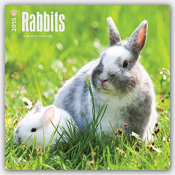 Rabbits, Broschürenkalender 2015