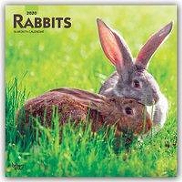 Rabbits - Kaninchen 2020, BrownTrout Publisher