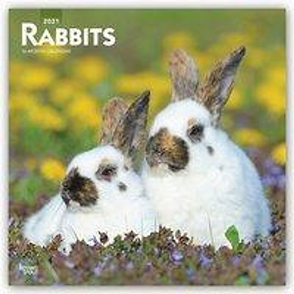 Rabbits - Kaninchen 2021 - 16-Monatskalender, BrownTrout Publisher