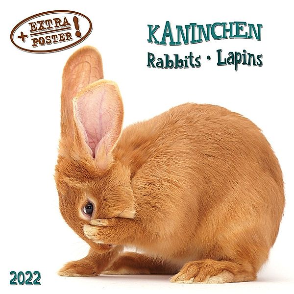 Rabbits/Kaninchen  2022