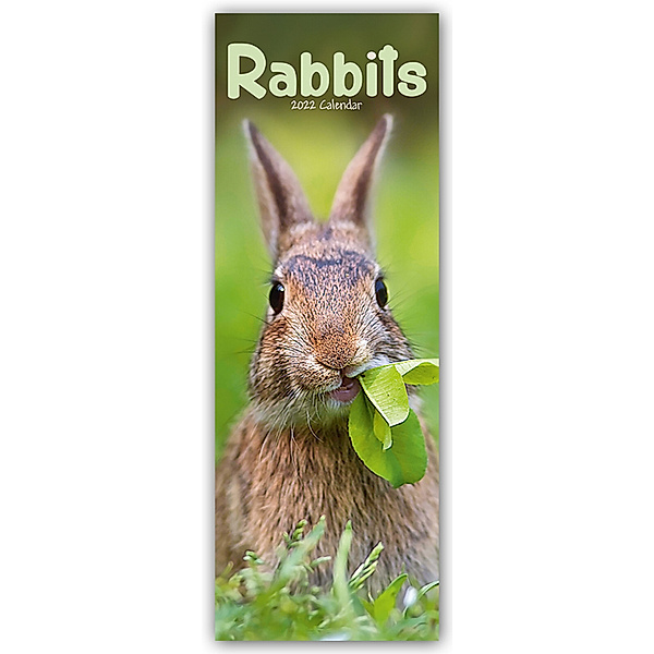 Rabbits - Kaninchen 2022, Avonside Publishing Ltd