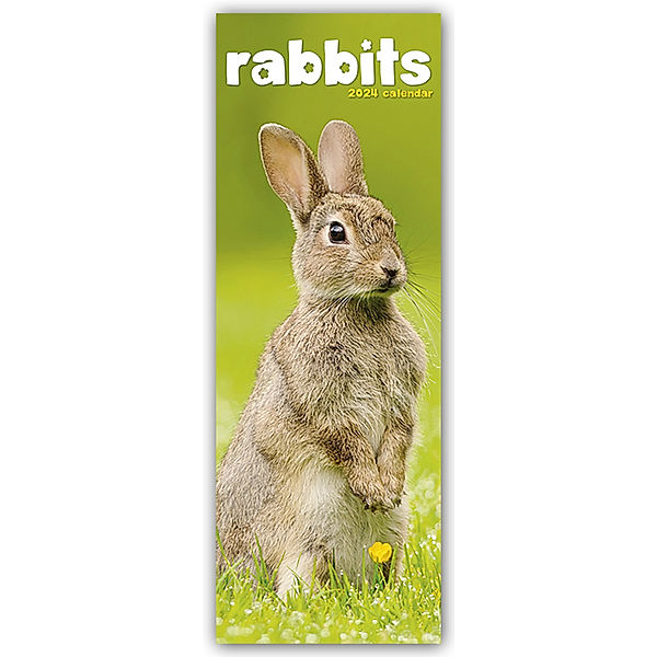 Rabbits - Kaninchen 2024, Avonside Publishing Ltd