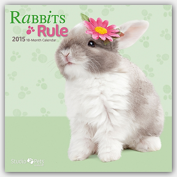 Rabbits Rule 2015 Kaninchen
