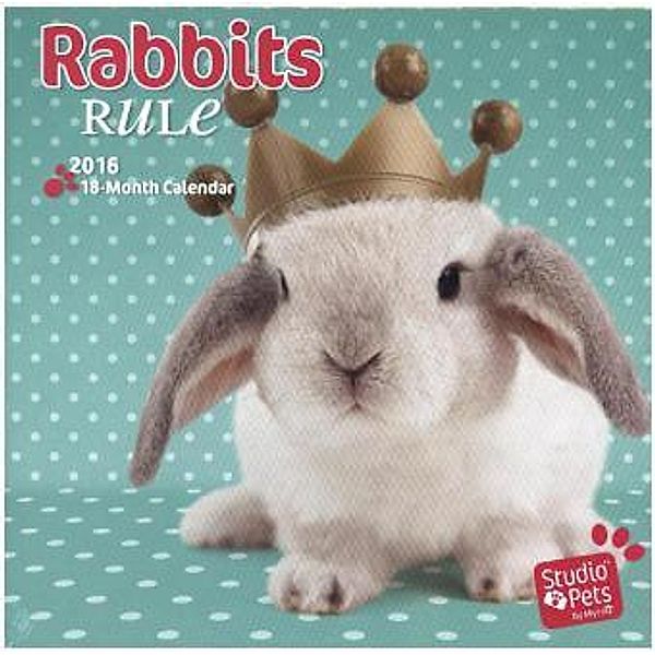 Rabbits Rule 2016