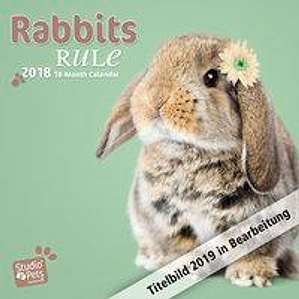 Rabbits Rule 2019, Myrna Huijing