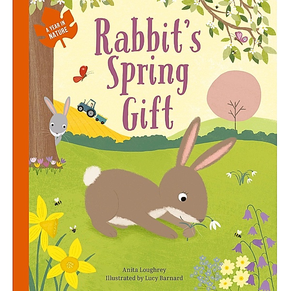 Rabbit's Spring Gift / A Year In Nature, Anita Loughrey