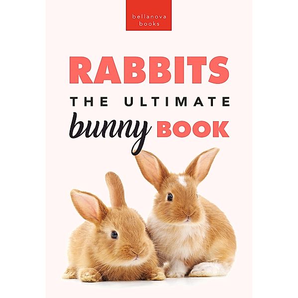 Rabbits The Ultimate Bunny Book / Animal Books for Kids Bd.18, Jenny Kellett