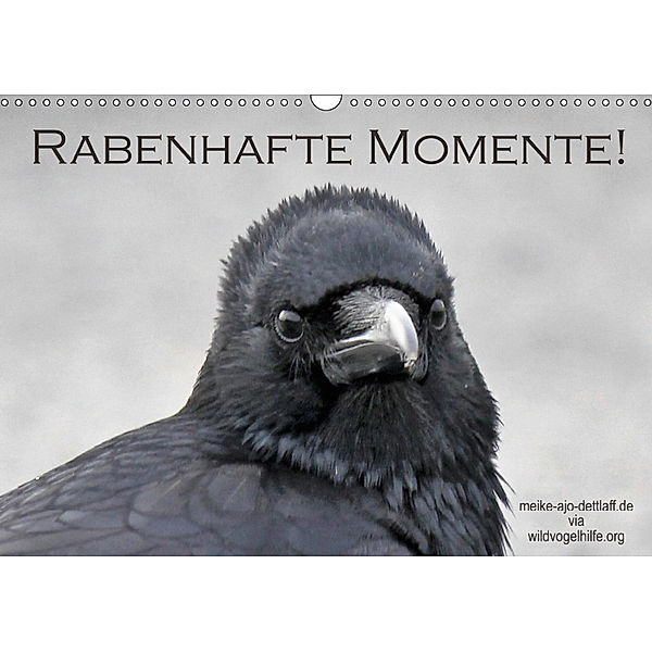 Rabenhafte Momente! (Wandkalender 2019 DIN A3 quer), Meike Dettlaff