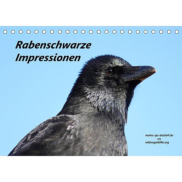 Rabenschwarze Impressionen - meike-ajo-dettlaff.de via  wildvogelhlfe.org (Tischkalender 2023 DIN A5 quer), Meike AJo. Dettlaff