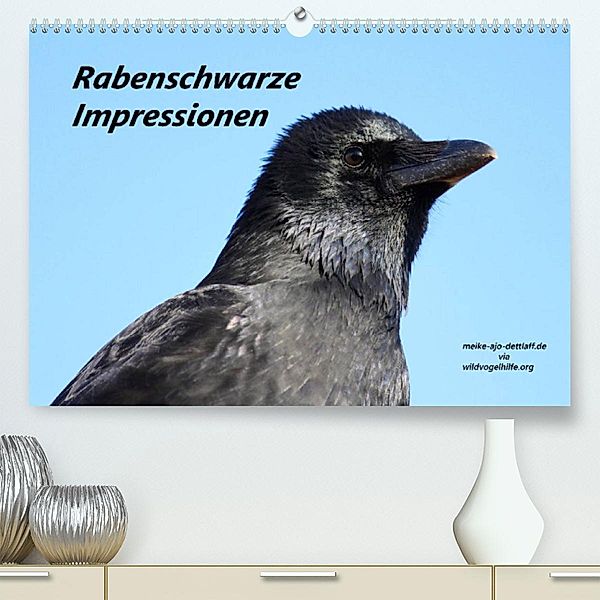Rabenschwarze Impressionen - meike-ajo-dettlaff.de via  wildvogelhlfe.org (Premium, hochwertiger DIN A2 Wandkalender 202, Meike AJo. Dettlaff