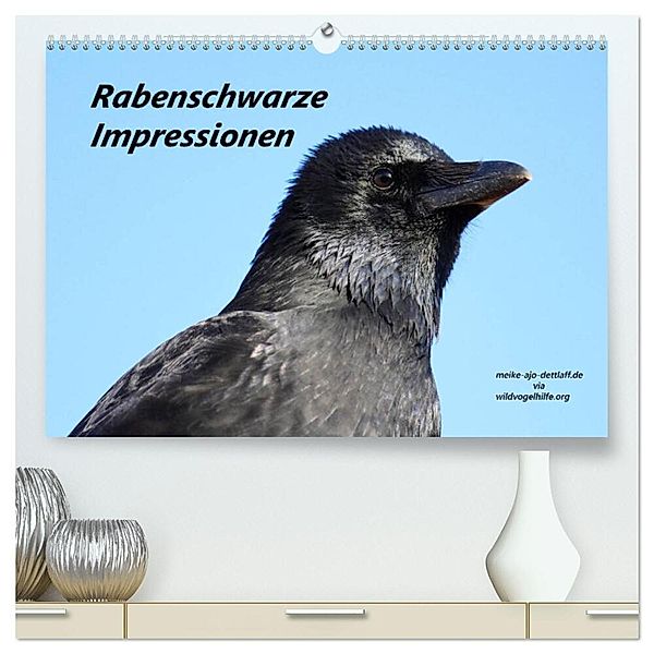 Rabenschwarze Impressionen - meike-ajo-dettlaff.de via wildvogelhlfe.org (hochwertiger Premium Wandkalender 2025 DIN A2 quer), Kunstdruck in Hochglanz, Calvendo, Meike AJo. Dettlaff