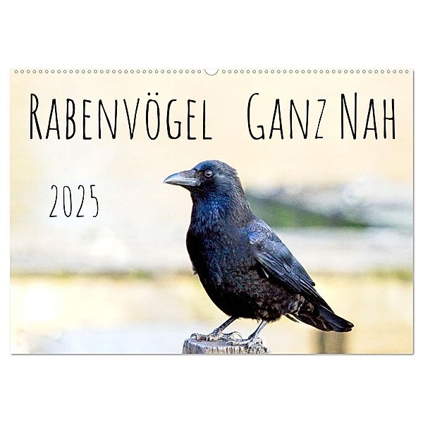 Rabenvögel - ganz nah (Wandkalender 2025 DIN A2 quer), CALVENDO Monatskalender, Calvendo, Kathrin Voss