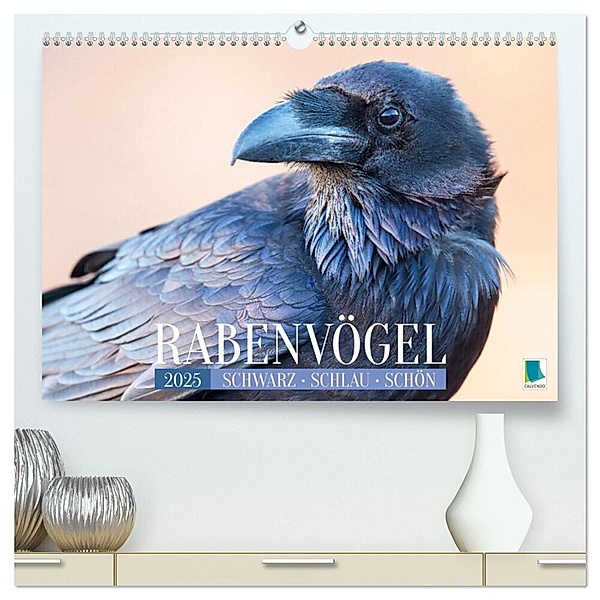 Rabenvögel: Schwarz, schlau, schön (hochwertiger Premium Wandkalender 2025 DIN A2 quer), Kunstdruck in Hochglanz, Calvendo