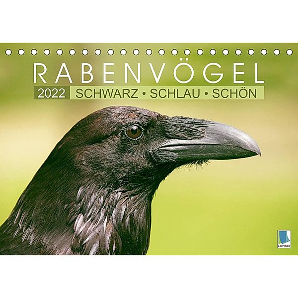 Rabenvögel: Schwarz, schlau, schön (Tischkalender 2022 DIN A5 quer), Calvendo