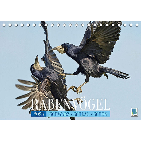 Rabenvögel: Schwarz, schlau, schön (Tischkalender 2023 DIN A5 quer), Calvendo