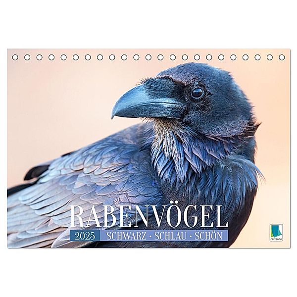 Rabenvögel: Schwarz, schlau, schön (Tischkalender 2025 DIN A5 quer), CALVENDO Monatskalender, Calvendo