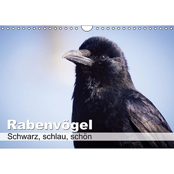 Rabenvögel - Schwarz, schlau, schön (Wandkalender 2014 DIN A4 quer)