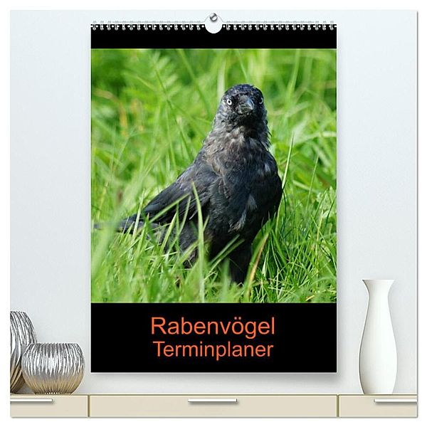 Rabenvögel Terminplaner (hochwertiger Premium Wandkalender 2024 DIN A2 hoch), Kunstdruck in Hochglanz, Kattobello