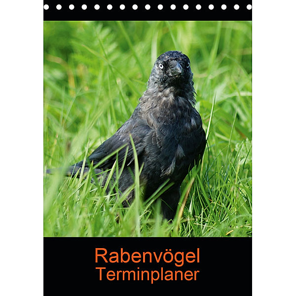 Rabenvögel Terminplaner (Tischkalender 2020 DIN A5 hoch)