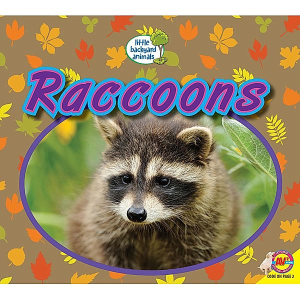 Raccoons, Heather Kissock