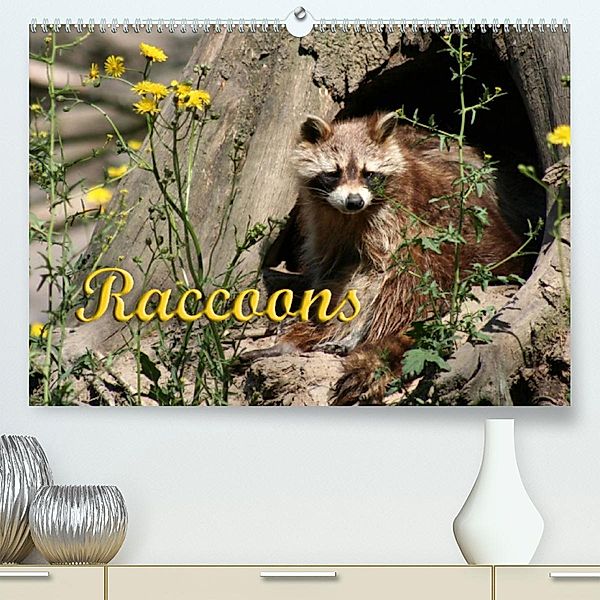 Raccoons / UK-Version (Premium, hochwertiger DIN A2 Wandkalender 2023, Kunstdruck in Hochglanz), Antje Lindert-Rottke