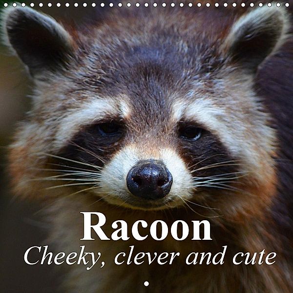 Racoon - Cheeky, clever and cute (Wall Calendar 2021 300 × 300 mm Square), Elisabeth Stanzer