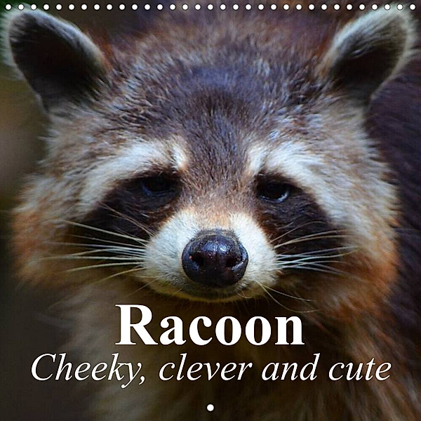 Racoon - Cheeky, clever and cute (Wall Calendar 2023 300 × 300 mm Square), Elisabeth Stanzer