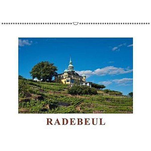 Radebeul / CH-Version / Geburtstagskalender (Wandkalender 2016 DIN A2 quer), Gunter Kirsch