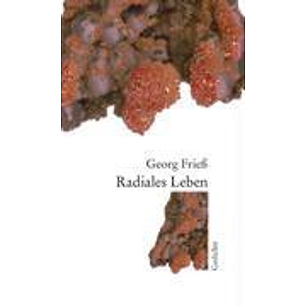 Radiales Leben, Georg Frieß