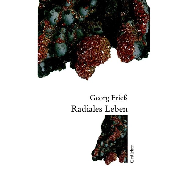 Radiales Leben, Georg Friess