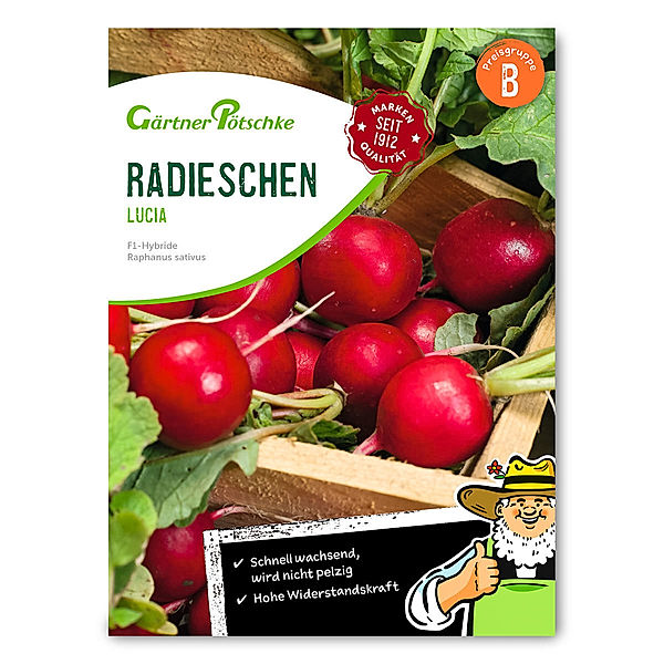 Radieschensamen Lucia