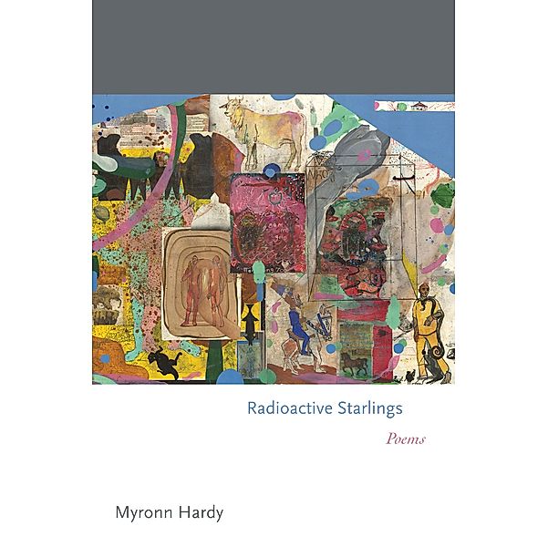 Radioactive Starlings / Princeton Series of Contemporary Poets Bd.137, Myronn Hardy