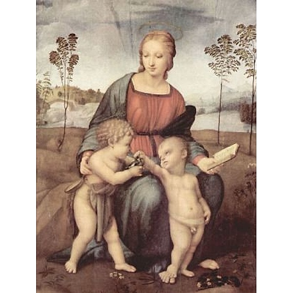 Raffael - Madonna mit dem Stieglitz, Szene: Maria mit Christuskind und Johannes dem Täufer - 1.000 Teile (Puzzle)