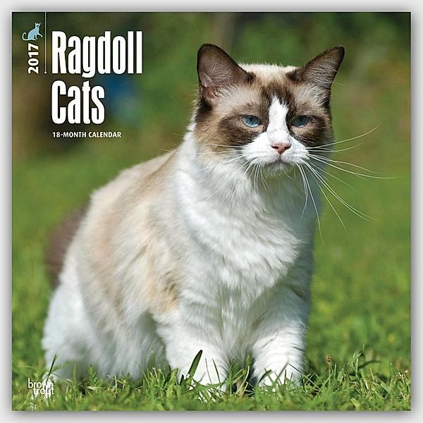 Ragdoll Cats 2017, Inc Browntrout Publishers