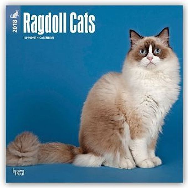 Ragdoll Cats 2018, BrownTrout Publisher