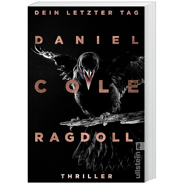 Ragdoll - Dein letzter Tag / New-Scotland-Yard-Thriller Bd.1, Daniel Cole