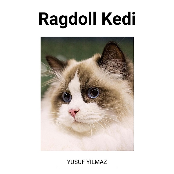 Ragdoll Kedi, Yusuf Yilmaz
