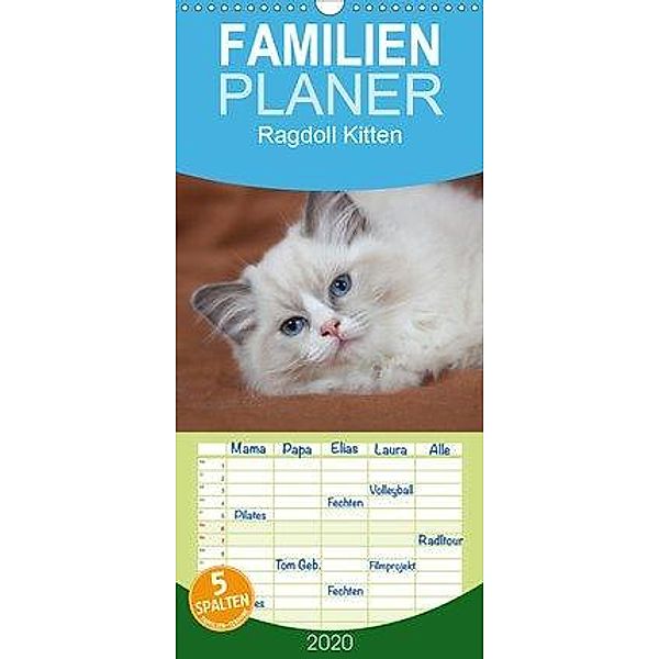 Ragdoll Kitten - Familienplaner hoch (Wandkalender 2020 , 21 cm x 45 cm, hoch), Verena Scholze