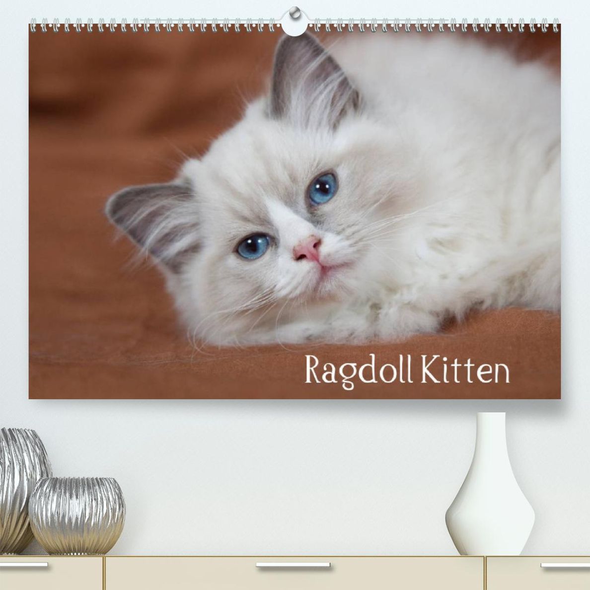 Ragdoll Kitten Premium, hochwertiger DIN A2 Wandkalender 2023, Kunstdruck  in Hochglanz - Kalender bestellen