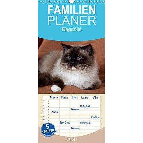 Ragdolls - Familienplaner hoch (Wandkalender 2020 , 21 cm x 45 cm, hoch), Verena Scholze