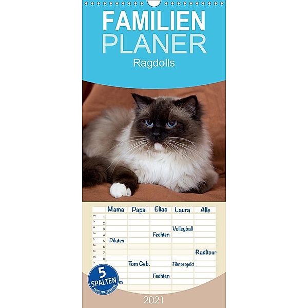 Ragdolls - Familienplaner hoch (Wandkalender 2021 , 21 cm x 45 cm, hoch), Fotodesign Verena Scholze