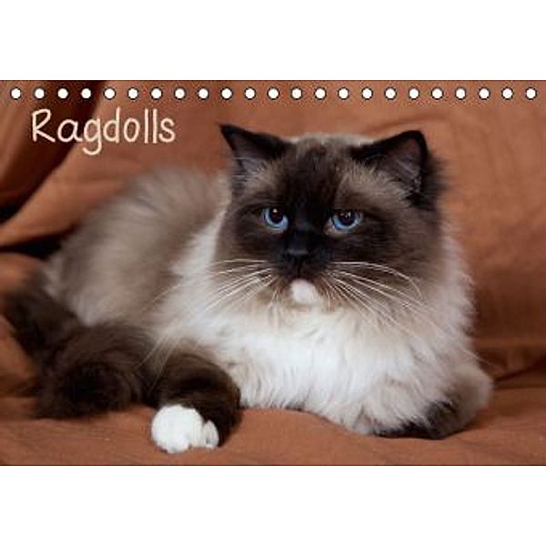 Ragdolls (Tischkalender 2015 DIN A5 quer), Verena Scholze