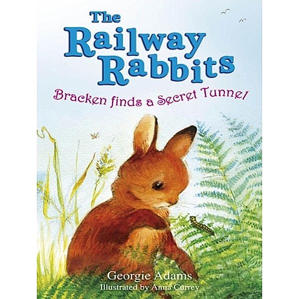 Railway Rabbits: Bracken Finds a Secret Tunnel, Georgie Adams