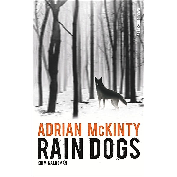Rain Dogs / Sean Duffy Bd.5, Adrian McKinty