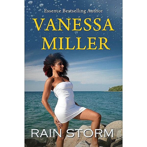Rain Storm (Rain Series, #4) / Rain Series, Vanessa Miller