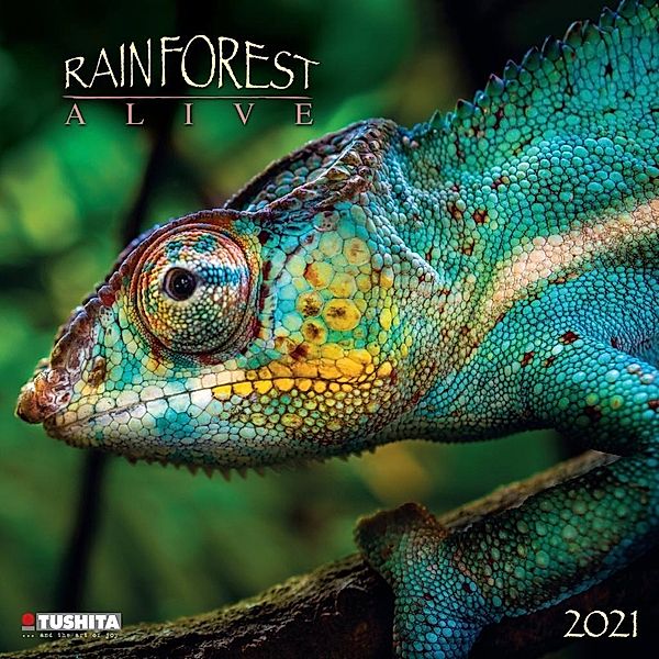 Rainforest Alive 2021
