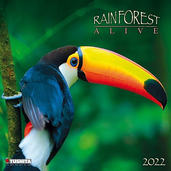 Rainforest Alive 2022