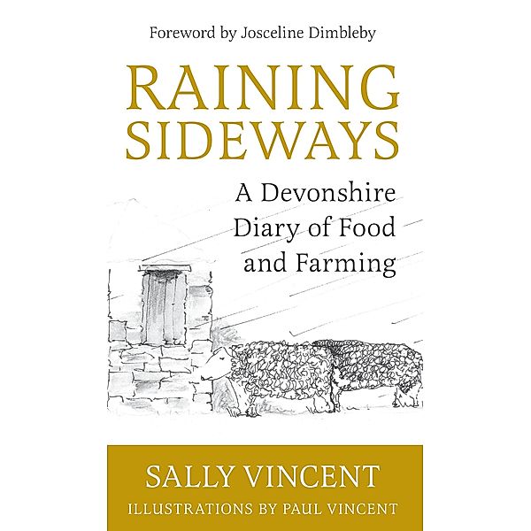 Raining Sideways / RedDoor Press, Sally Vincent