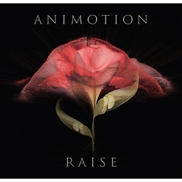 Raise Your Expectations (Vinyl), Animotion